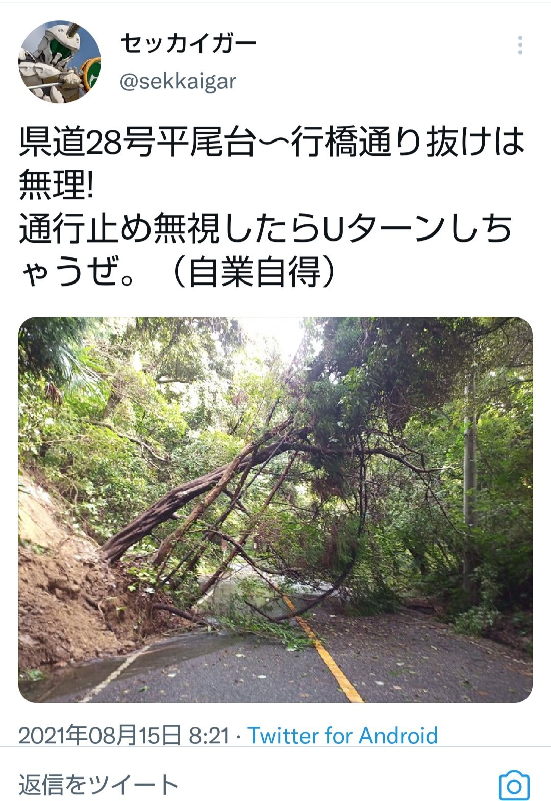 セッカイガーのtwitterにて 平尾台 なかやんさんのモーメント Yamap ヤマップ