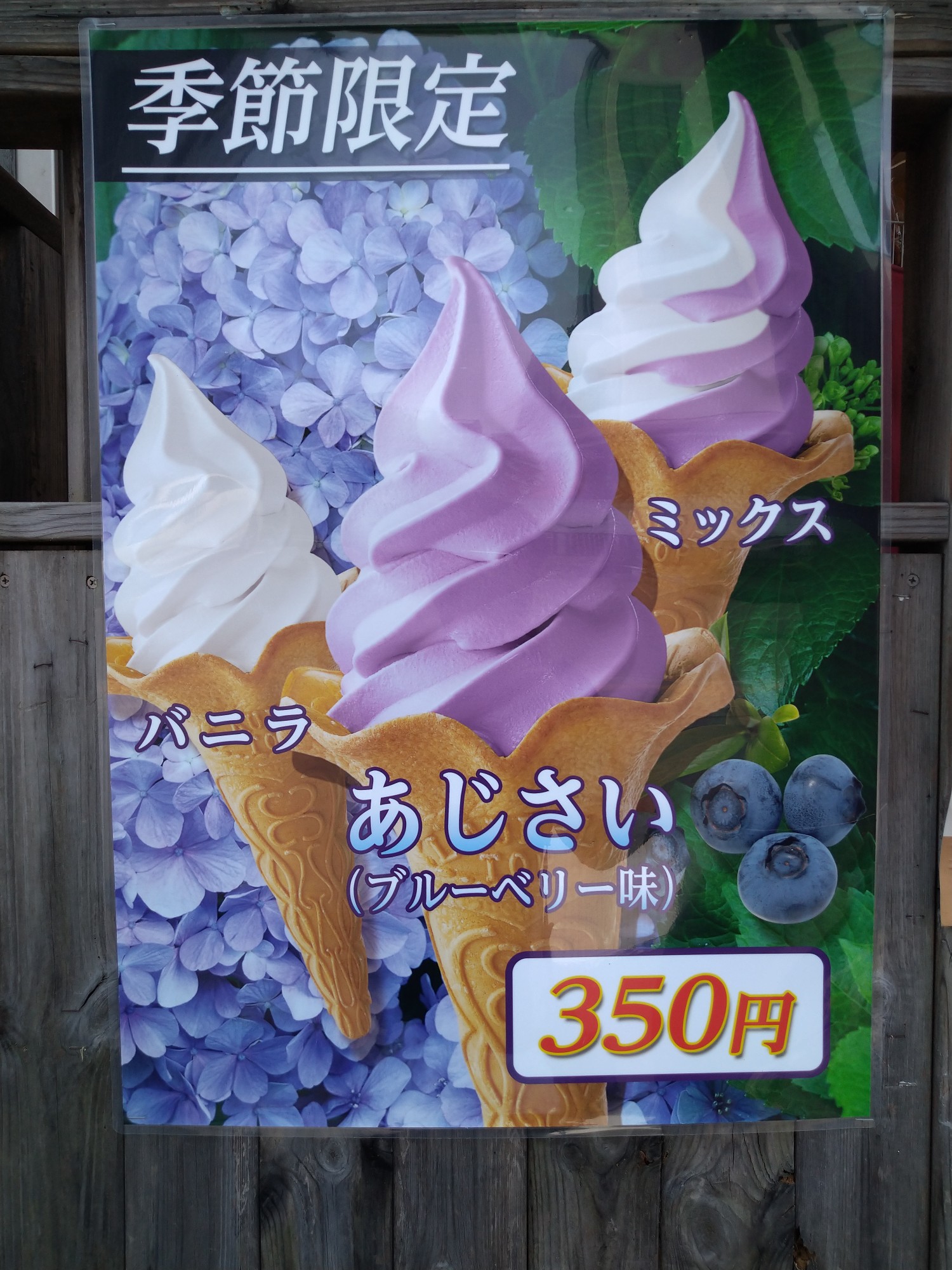 紫陽花の名所 見頃を向かえた約7500株の高幡不動尊あじさい祭りはプチ登山気分 まじこさんのハイキングの活動日記 Yamap ヤマップ