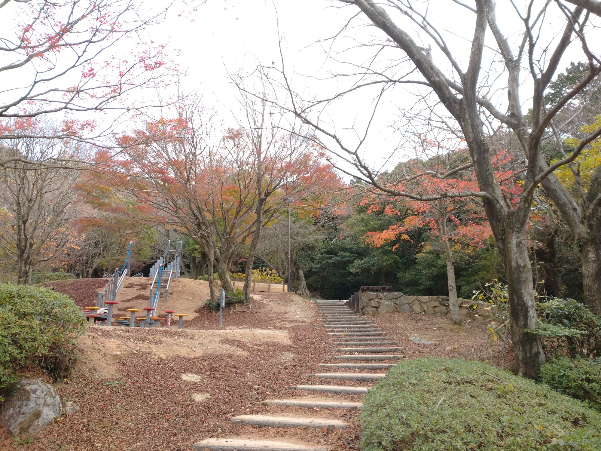 皿倉紅葉ピーク もう 過ぎてる Abuさんの皿倉山 花尾山 帆柱山の活動データ Yamap ヤマップ