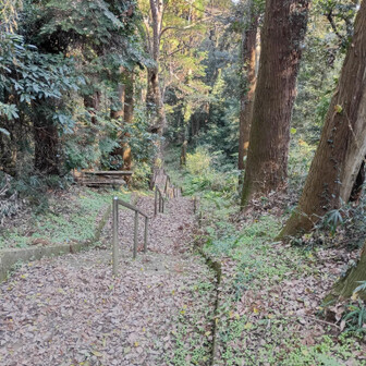 階段を下ります。
2019年の大型台風の時は左右からこの太い木が倒れてきて、階段の手すりがへし曲がりました。