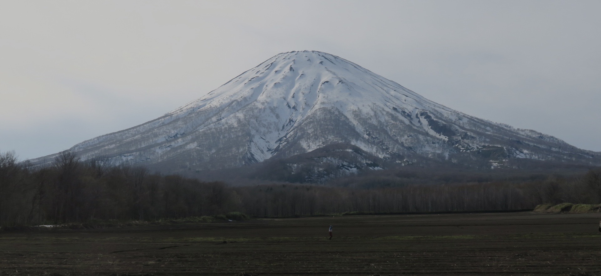 羊蹄山 蝦夷富士 22 04 25 Michael さんの羊蹄山 蝦夷富士 の活動データ Yamap ヤマップ