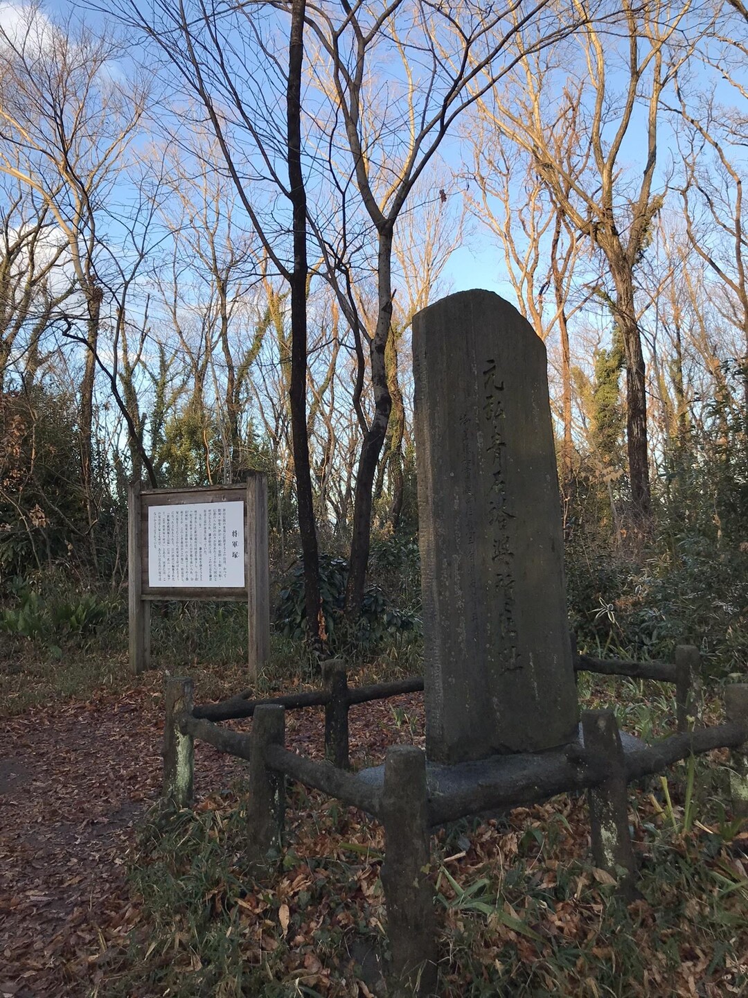 【登り初め】八国山 東村山〜多摩湖ルート / yama0416さんの所沢市の活動データ YAMAP / ヤマップ