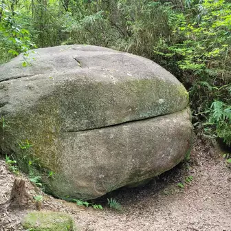 ハンバーグ岩