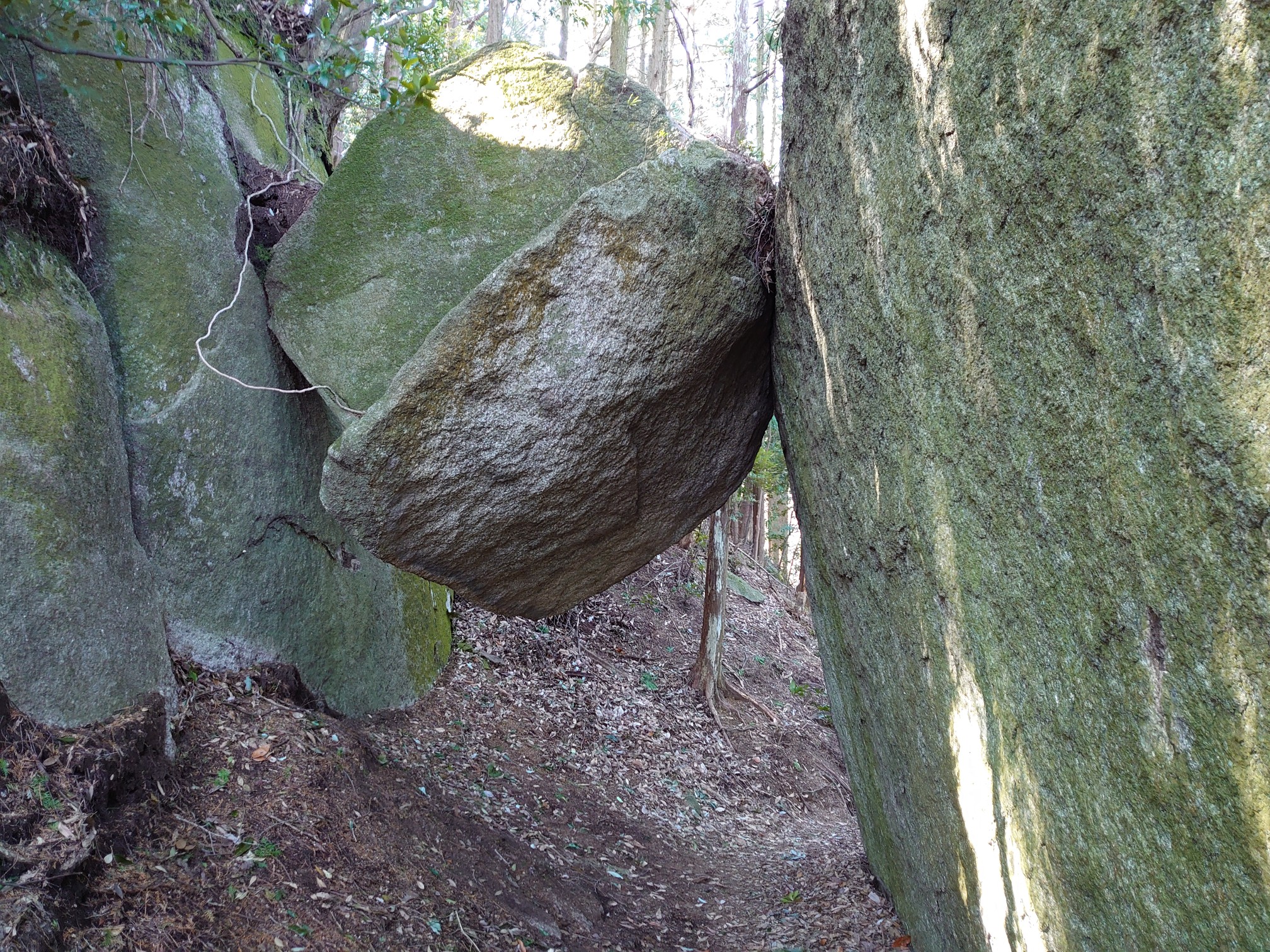 落ちない岩 K Yoshidaさんの岩石山 岩石城 の活動日記 Yamap ヤマップ