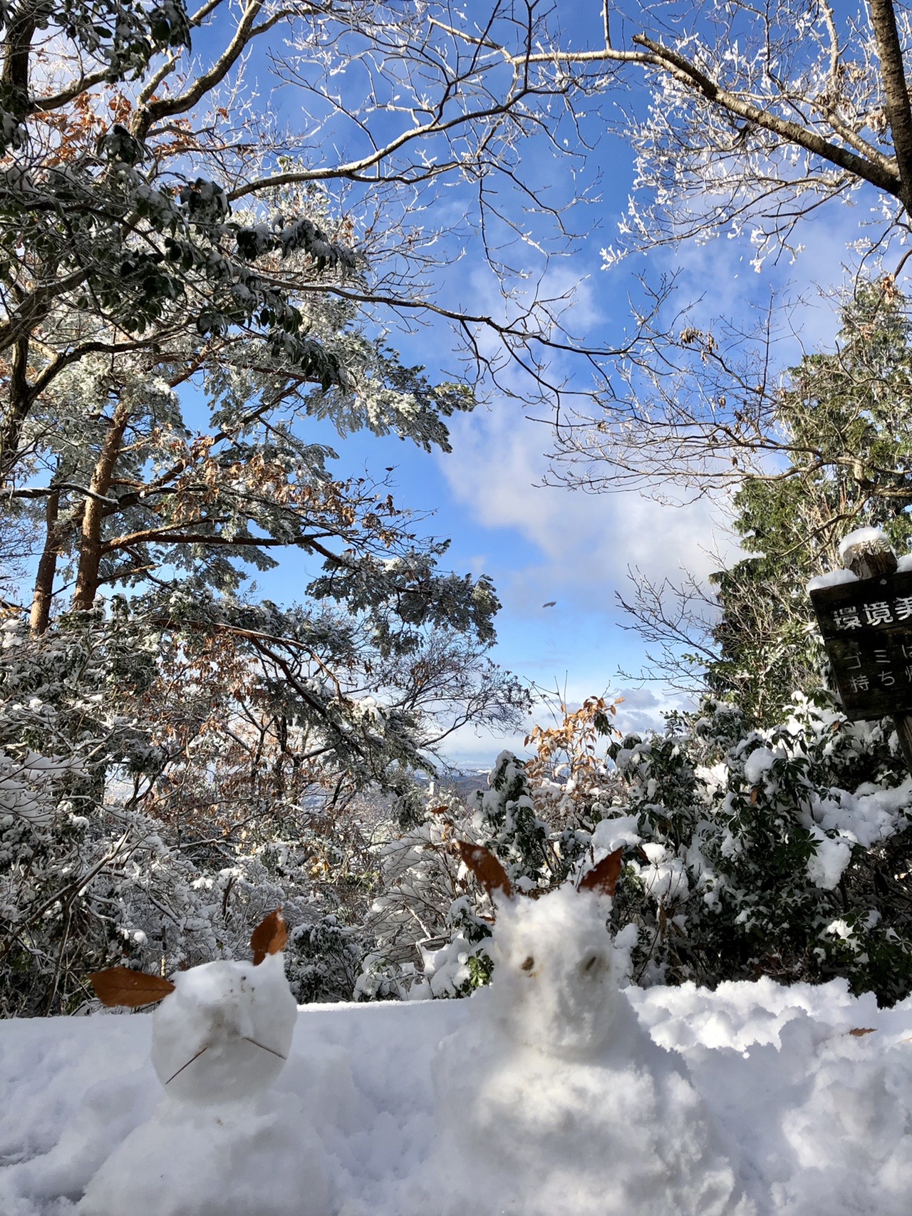 雪の大谷山 弥勒山 まめひろさんの春日井三山 弥勒山 大谷山 道樹山の活動データ Yamap ヤマップ