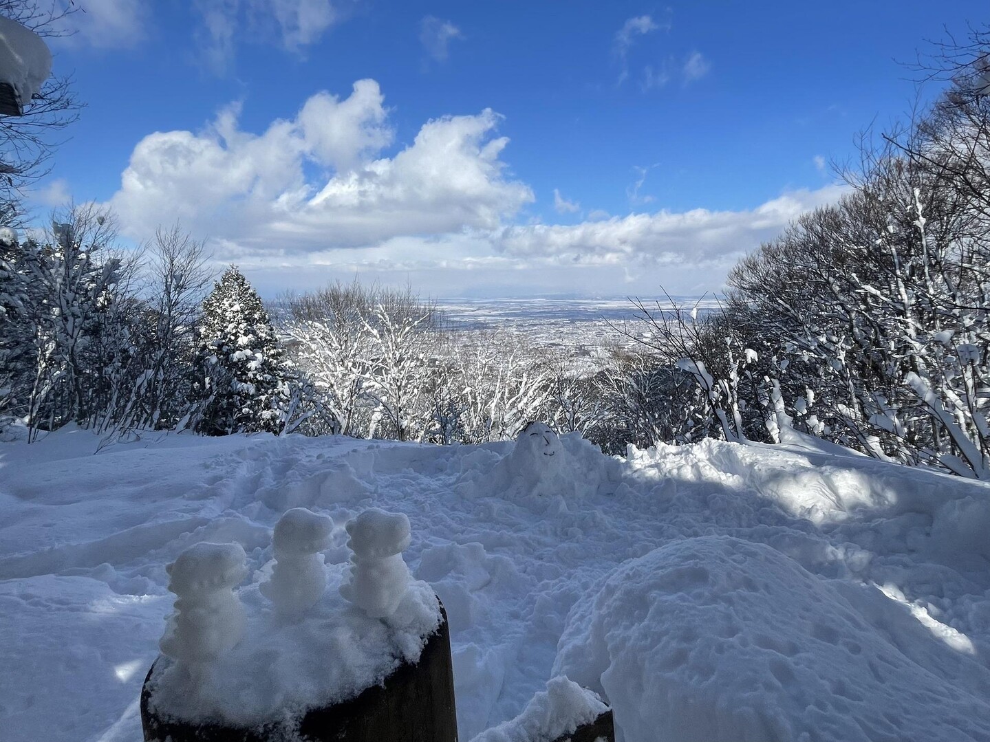 久渡寺山 / ジャスミンさんの久渡寺山の活動データ YAMAP / ヤマップ