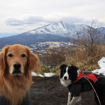 高尾山 犬連れ散歩 02 06 のぶろうさんの高尾山 陣馬山 景信山の活動データ Yamap ヤマップ
