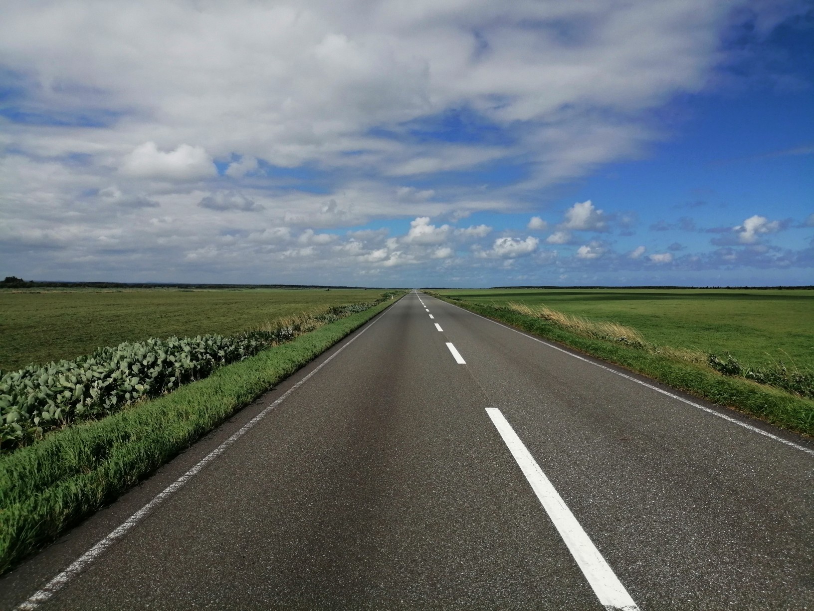 北海道 真っ直ぐな道 エサヌカ線 牧草地帯 猿払村 08 31 アリがとうさんの猿払村の活動データ Yamap ヤマップ