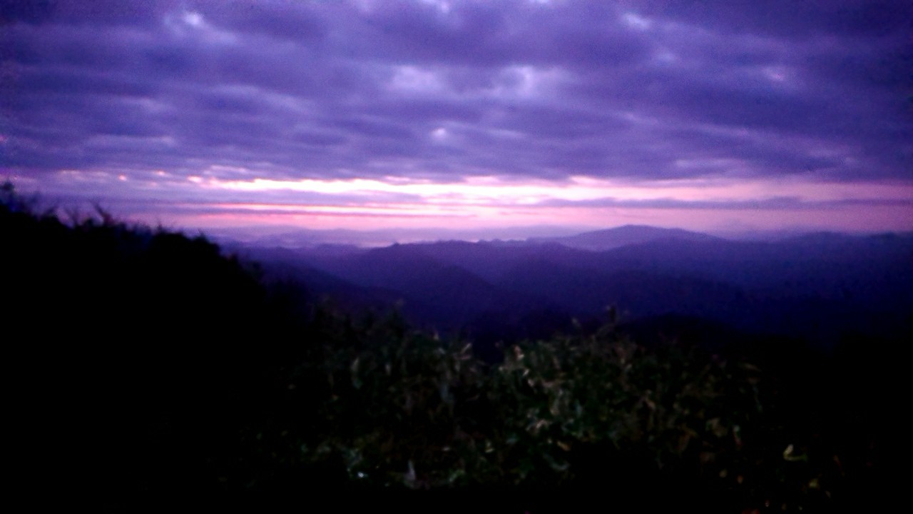 山旅と藪漕ぎと自転車漕ぎ きち猫さんの粟ヶ岳 權ノ神岳 宝蔵山の活動データ Yamap ヤマップ