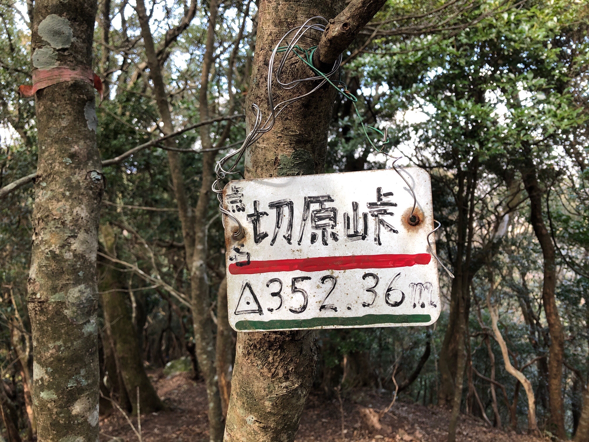 切原峠20220222 / じろうさんの南伊勢町の活動データ YAMAP / ヤマップ
