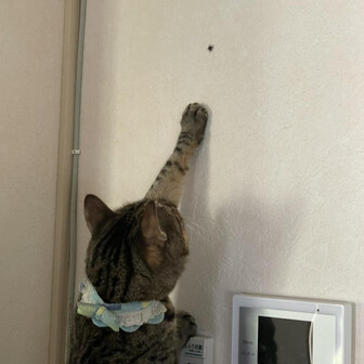 松田 光司のページ YAMAP / ヤマップ