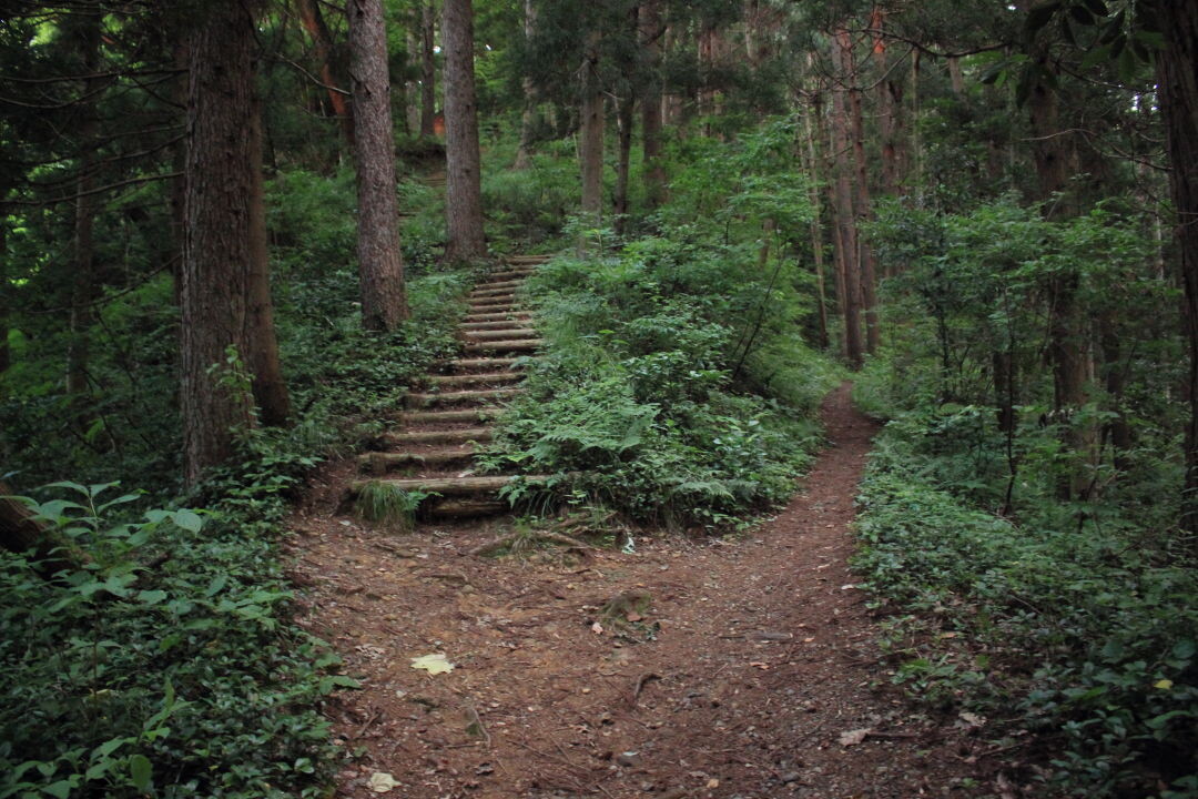 ひゃんで花火を見に菩提寺山 大沢公園コース 菩提寺山 高立山 護摩堂山の写真3枚目 右の巻き道へ Yamap ヤマップ