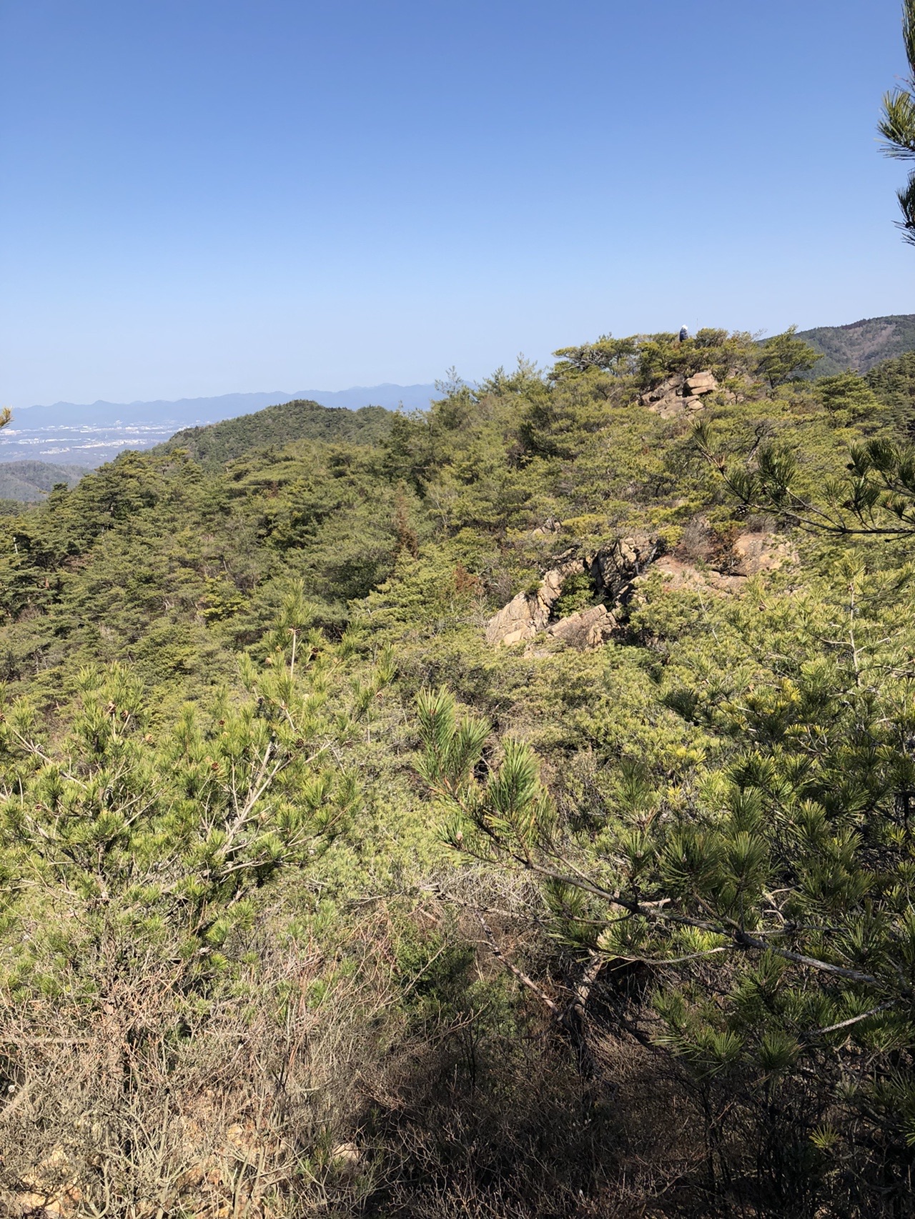 古寺山縦走コース 六甲アルプス 六甲山ホテル 自然保護センター 六甲山バイブル発見 堡塁岩 寒天山道 坊主山 よし やまさんの六甲山 長峰山 摩耶山の活動データ Yamap ヤマップ