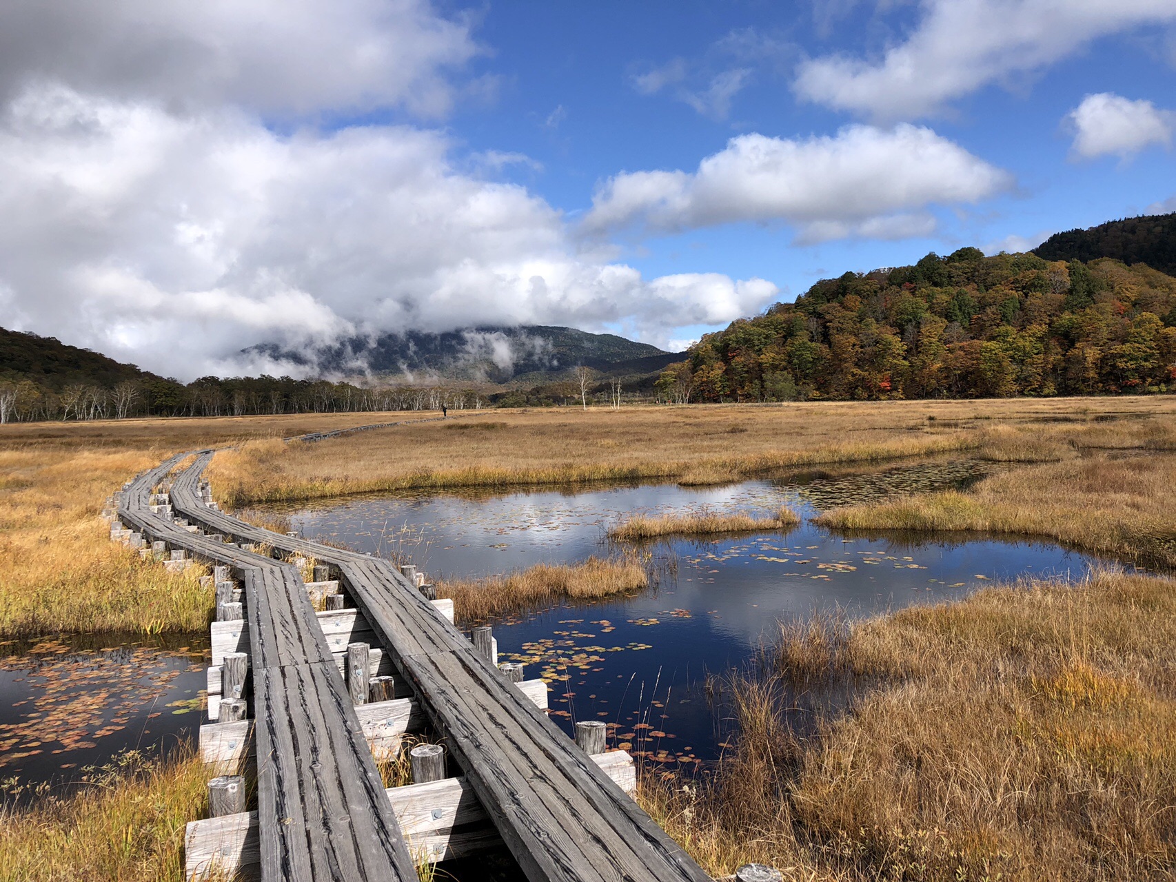 草紅葉で熊さんに出会う 尾瀬ヶ原 19 10 15 Yamapeeさんの尾瀬 燧ヶ岳の活動データ Yamap ヤマップ