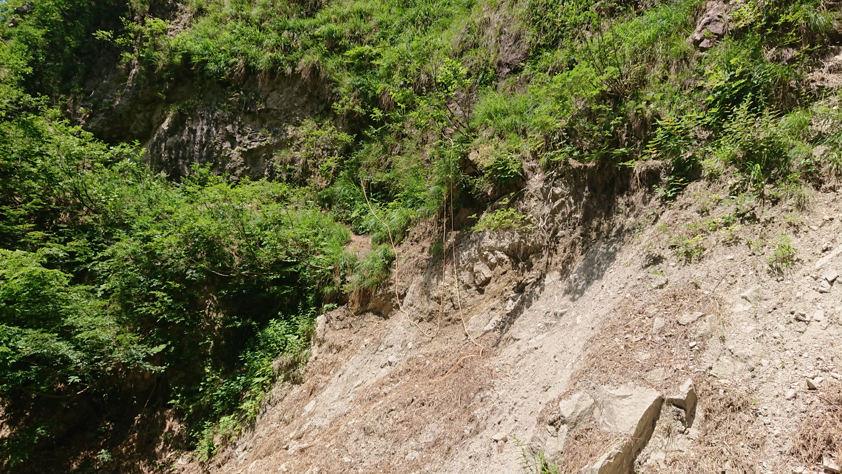 日本平山・鍋倉山 12ミリ30mロープ
さてこれからどうすべ