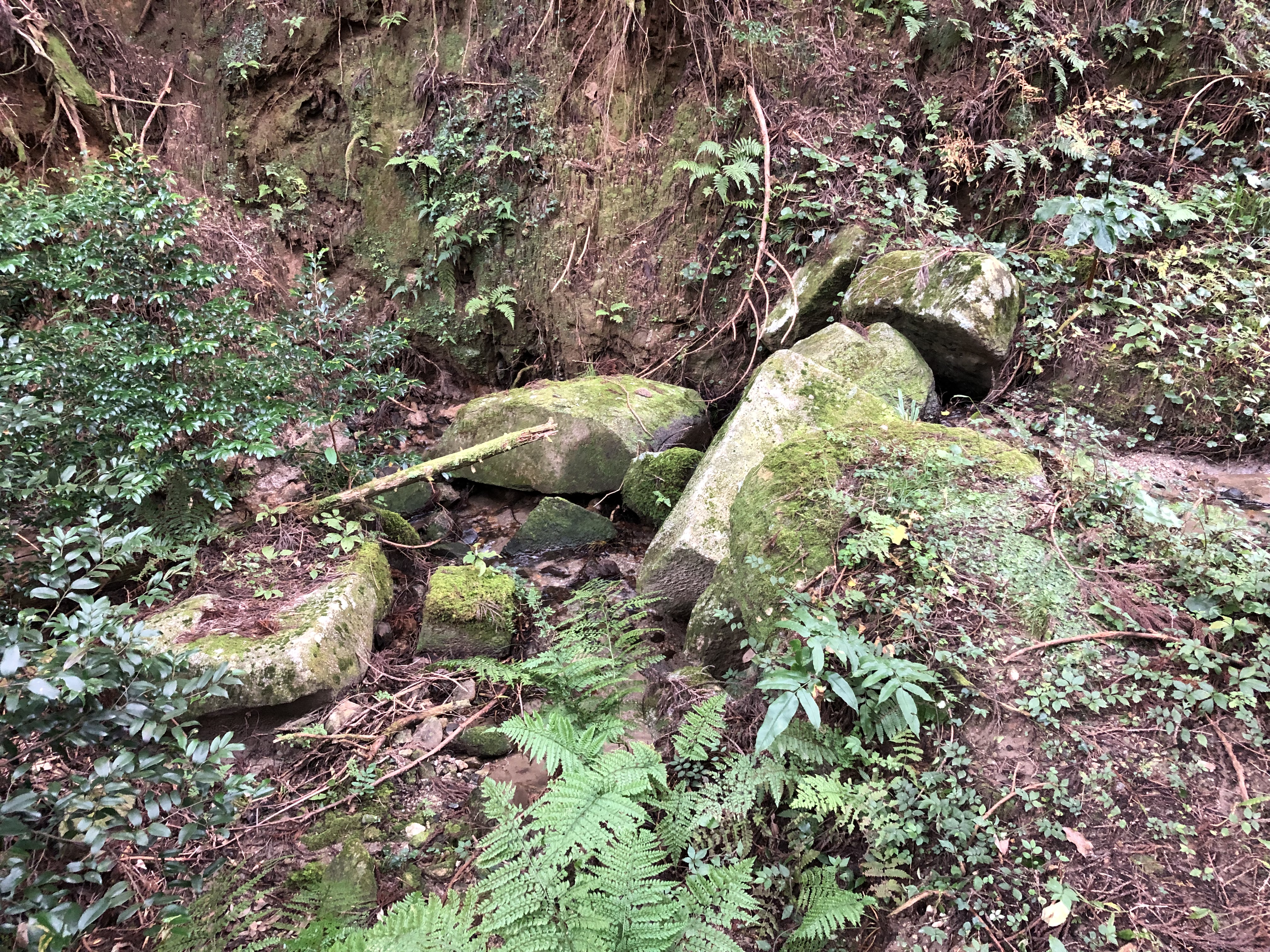 198 雷山神籠石へ 筑前前原sta 雷山神籠石 うぉーきんぐさんの糸島三都110キロウォークの活動データ Yamap ヤマップ
