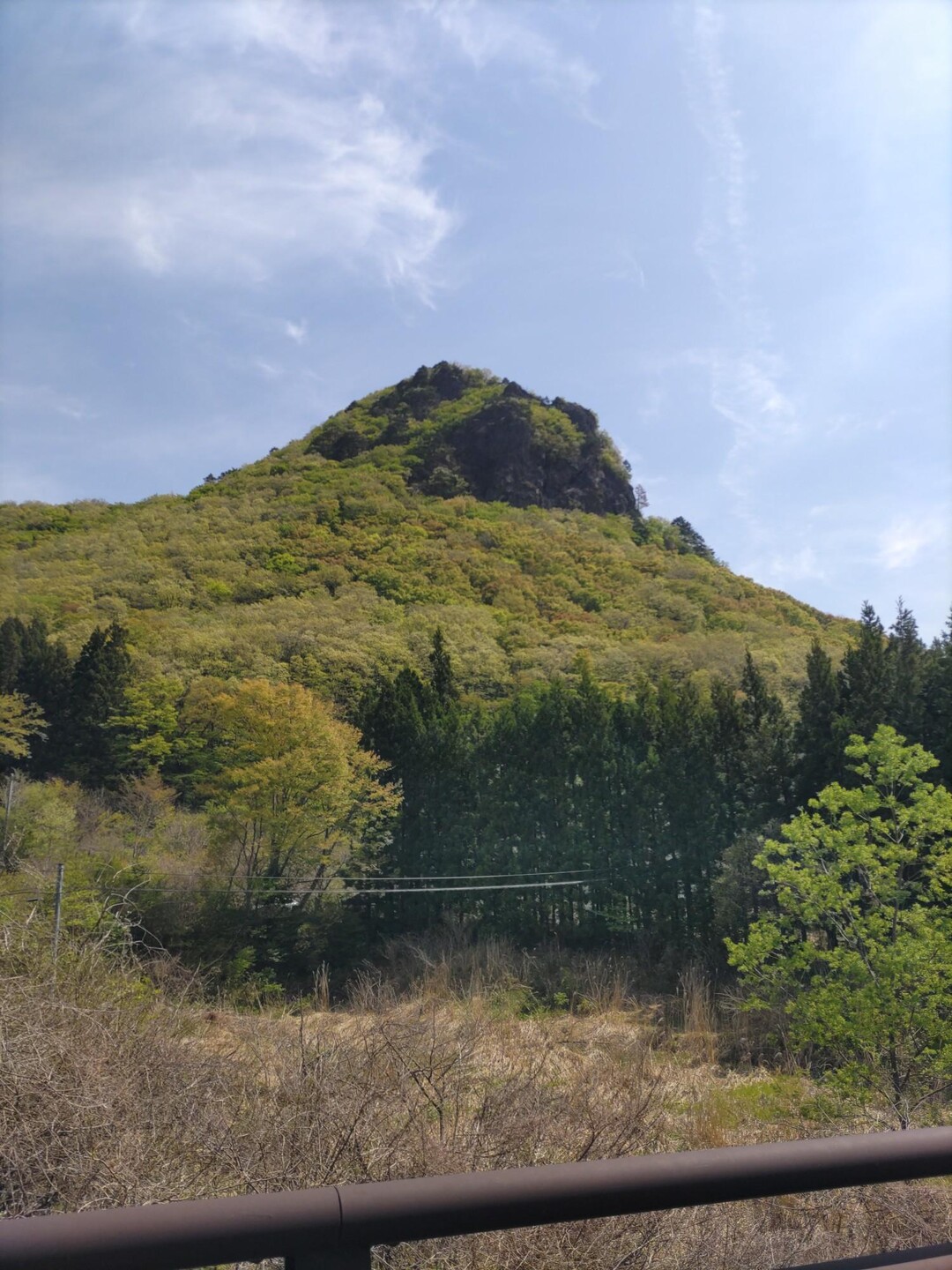 鎌倉山ってかゴリラ山です / cancanさんの鎌倉山の活動データ YAMAP / ヤマップ