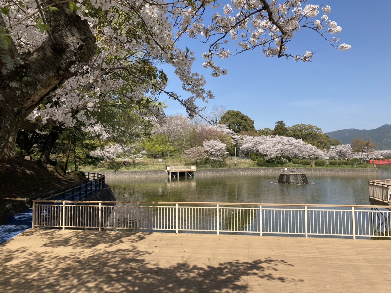 甘木公園より大平山へ Snさんのウォーキングの活動データ Yamap ヤマップ