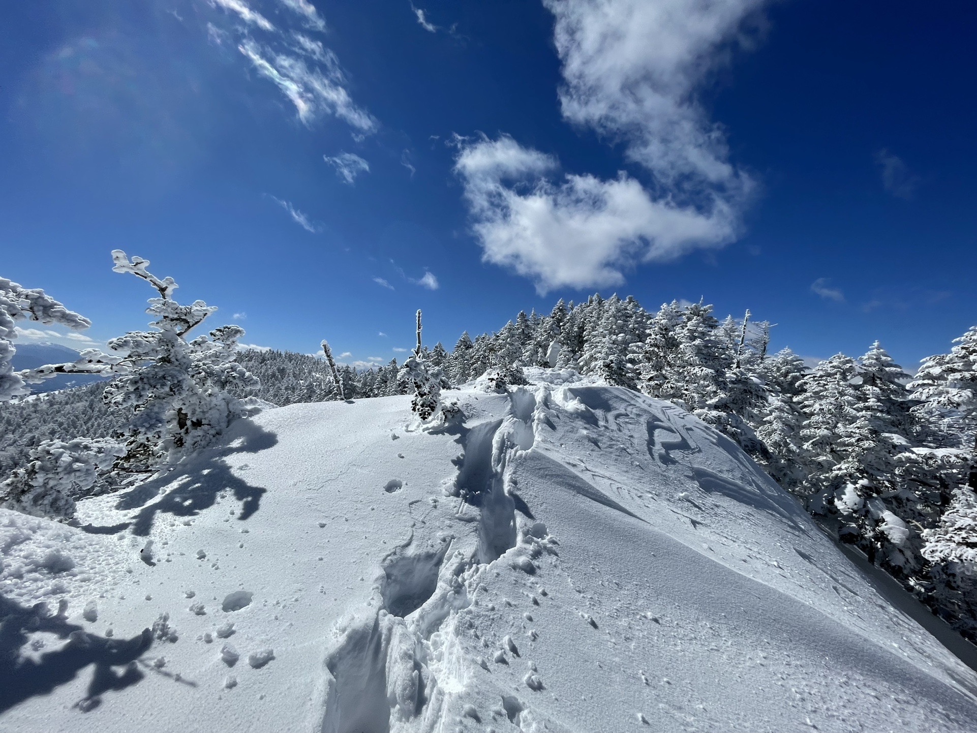 八ヶ岳ブルー 堪能 Omoさんの蓼科山 横岳 縞枯山の活動データ Yamap ヤマップ