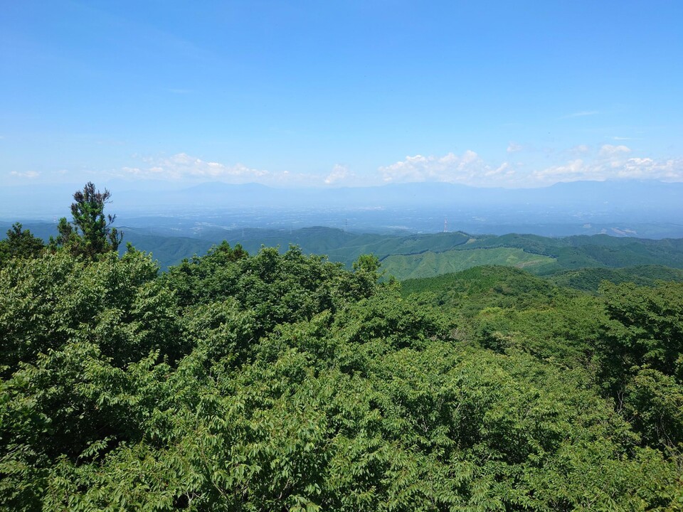 森魚嵐「山頭火 分け入っても分け入っても青い山」 日本画 儲け 森魚嵐「山頭火 分け入っても分け入っても青い山」 日本画 儲け