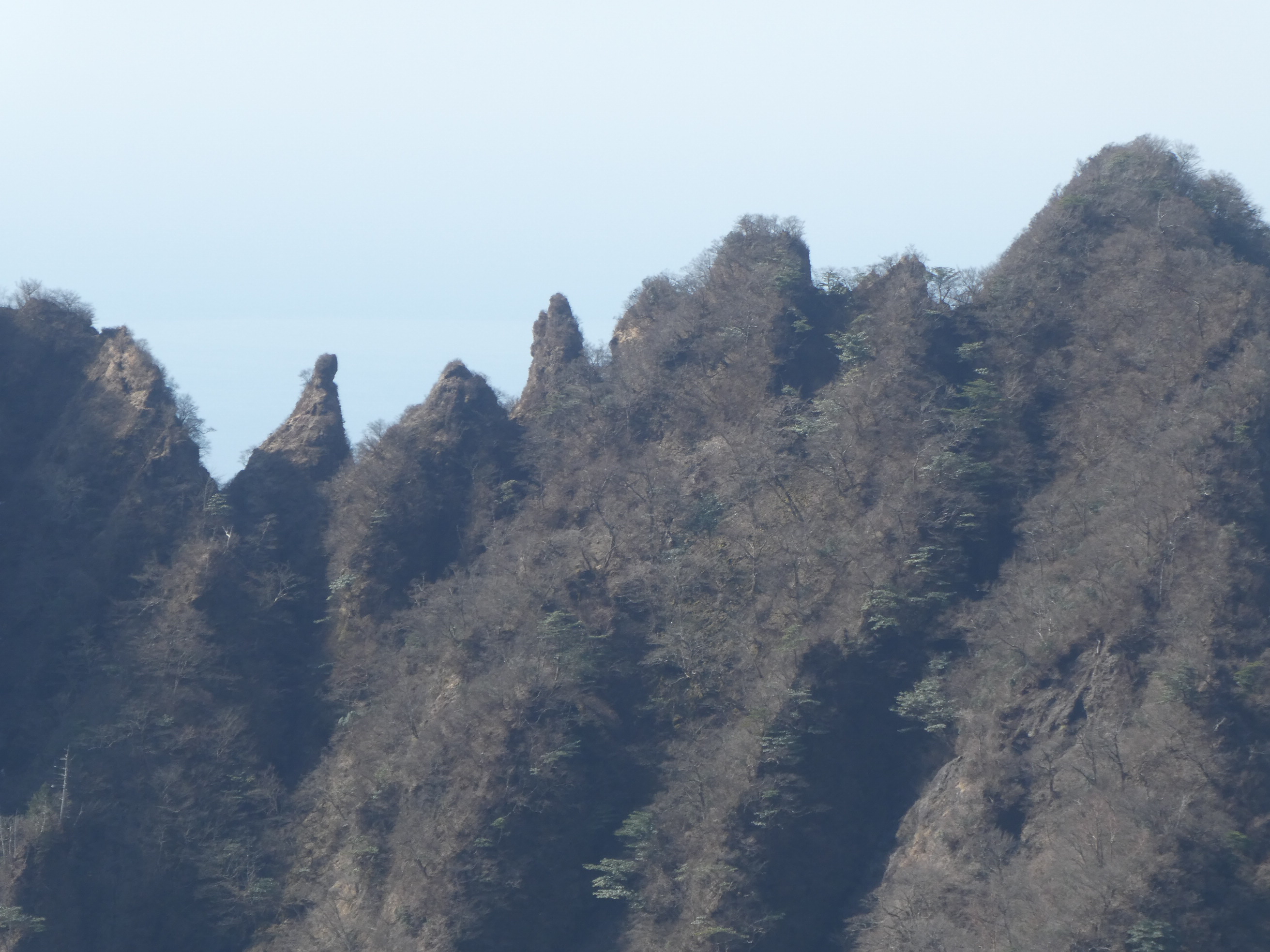 愛鷹山 鋸岳縦走 黒岳 越前岳 鋸岳 位牌岳 前岳 03 21 Kunsanさんの愛鷹山 大岳 黒岳の活動データ Yamap ヤマップ