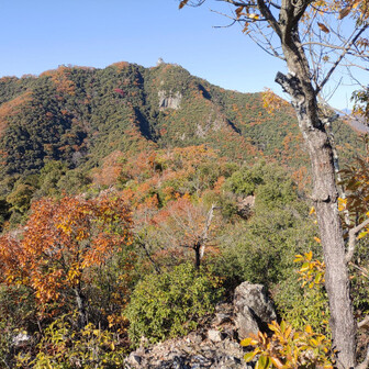 鷹ノ巣山から金華山を望む、キャラクター看板がない～⁉️