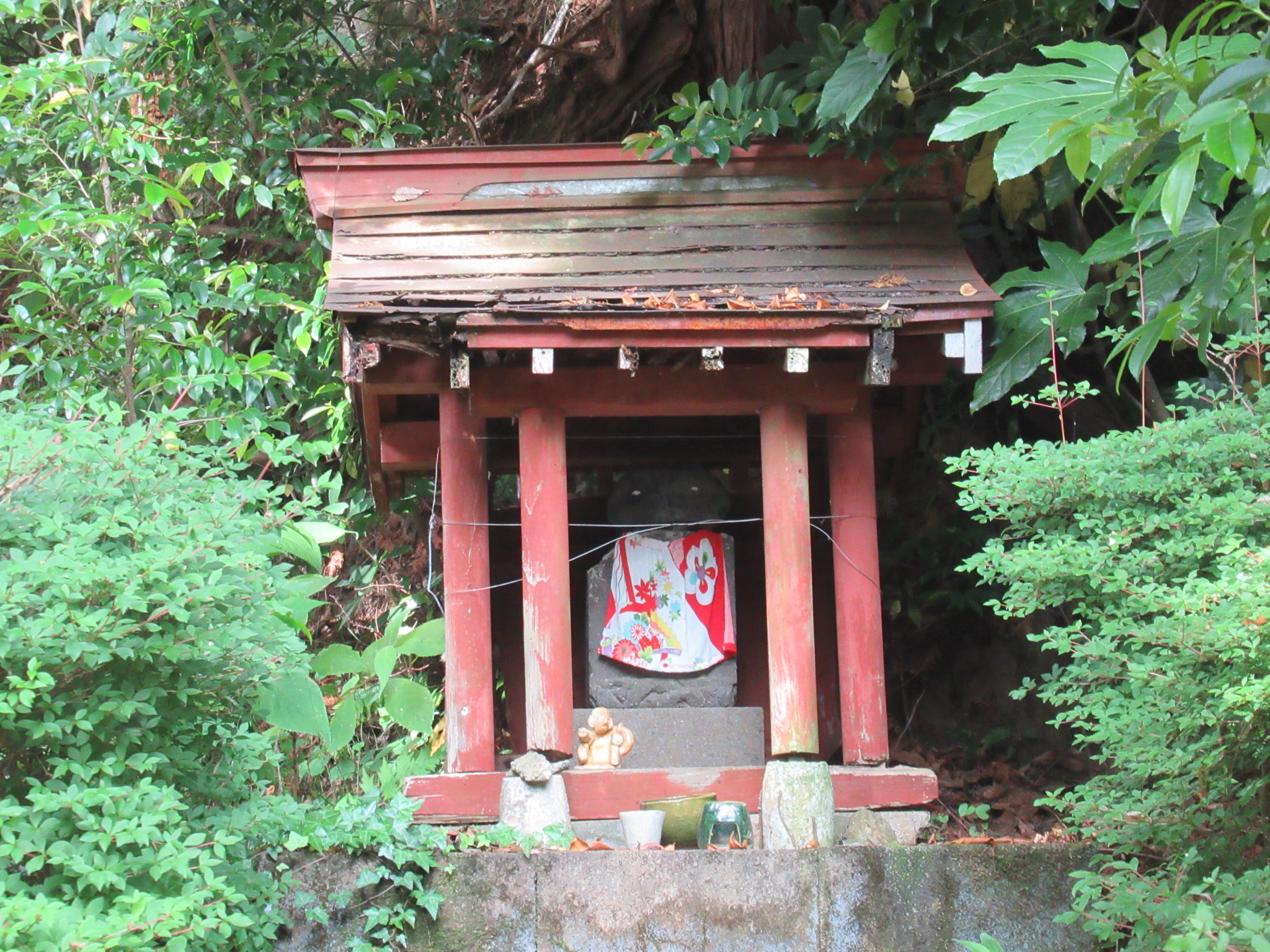 塔ノ岳リハビリ登山 Ryuyuさんの丹沢山の活動日記 Yamap ヤマップ
