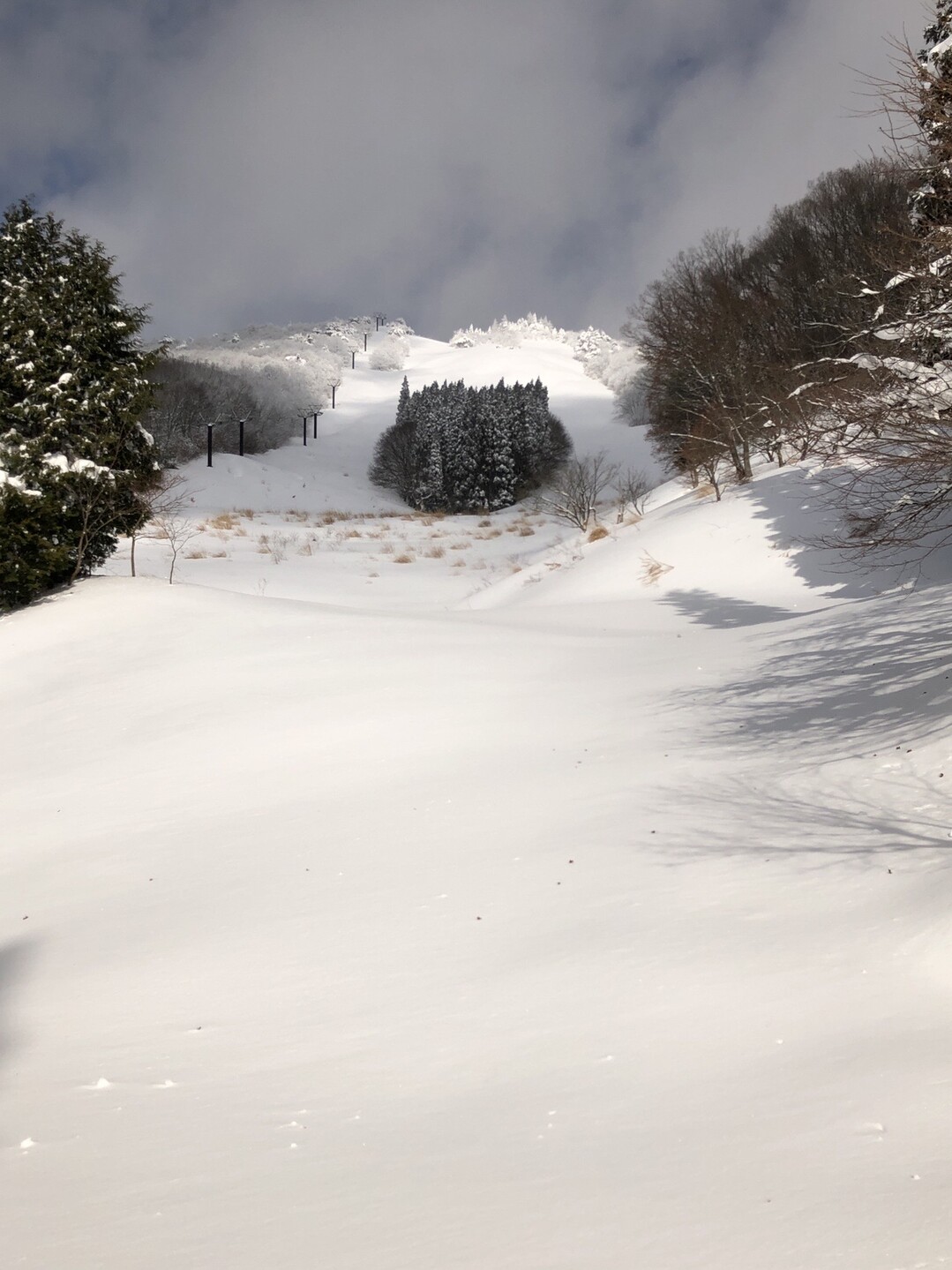 花見山深雪撤退 21 01 03 ヤマトさんの花見山の活動データ Yamap ヤマップ