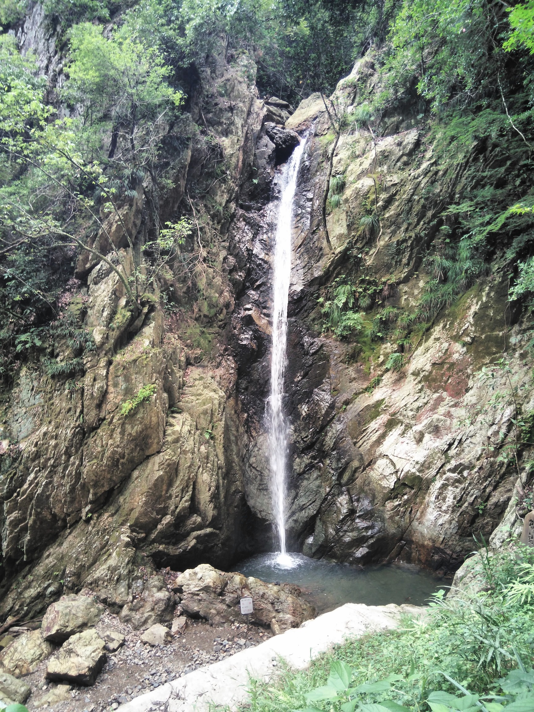 独鈷の滝が見れる五台山へ 山ぐっさん 山口正二 さんの五台山 親不知 城山 猪ノ口山 の活動日記 Yamap ヤマップ