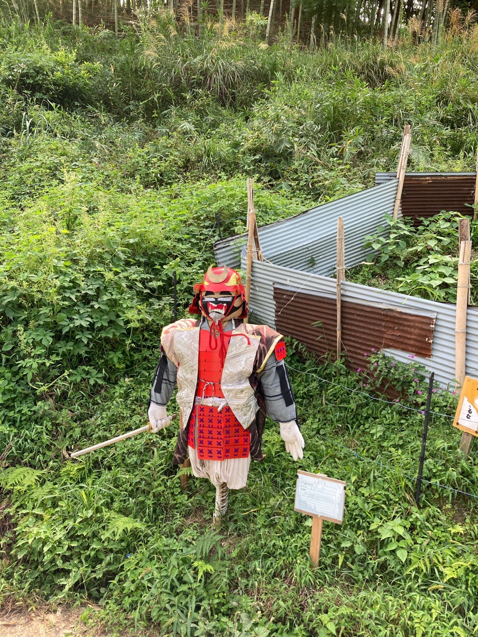 高松塚 亀石 マラ石 カカシ祭り 朝風峠 高松塚 けいたんさんの大和三山 天香久山 畝傍山 耳成山 の活動日記 Yamap ヤマップ