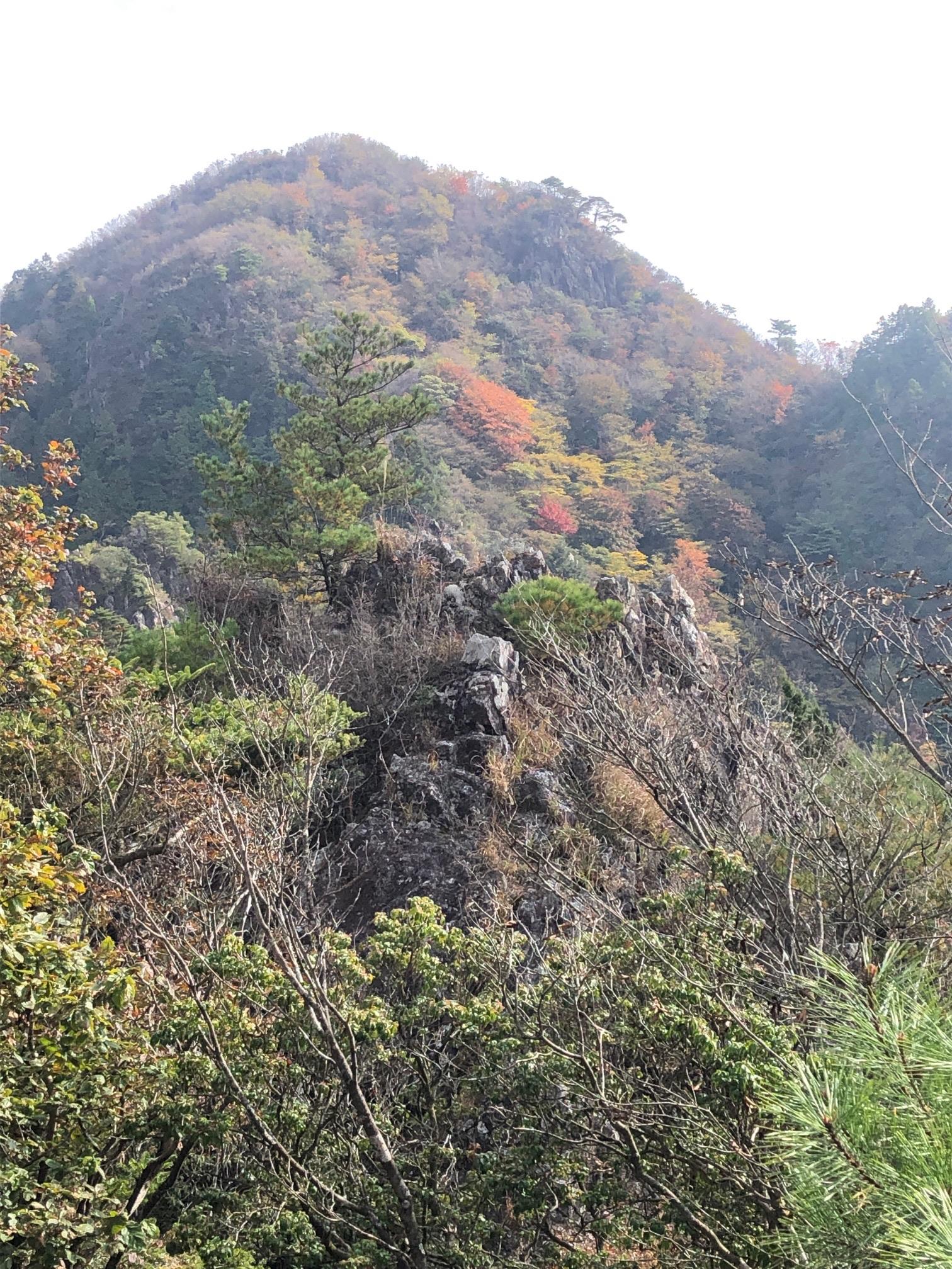 多紀アルプスを歩く 御嶽（三嶽）・小金ヶ嶽 / がんちゃんさんの御嶽（三嶽）・小金ヶ嶽・西ヶ嶽の活動データ YAMAP / ヤマップ