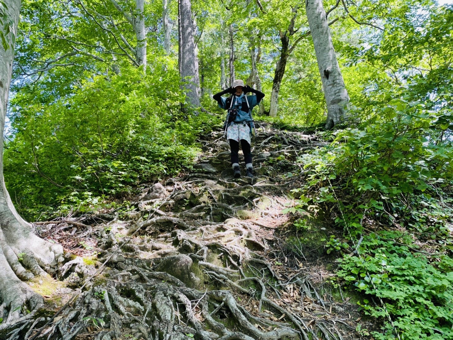 明日はもしや…