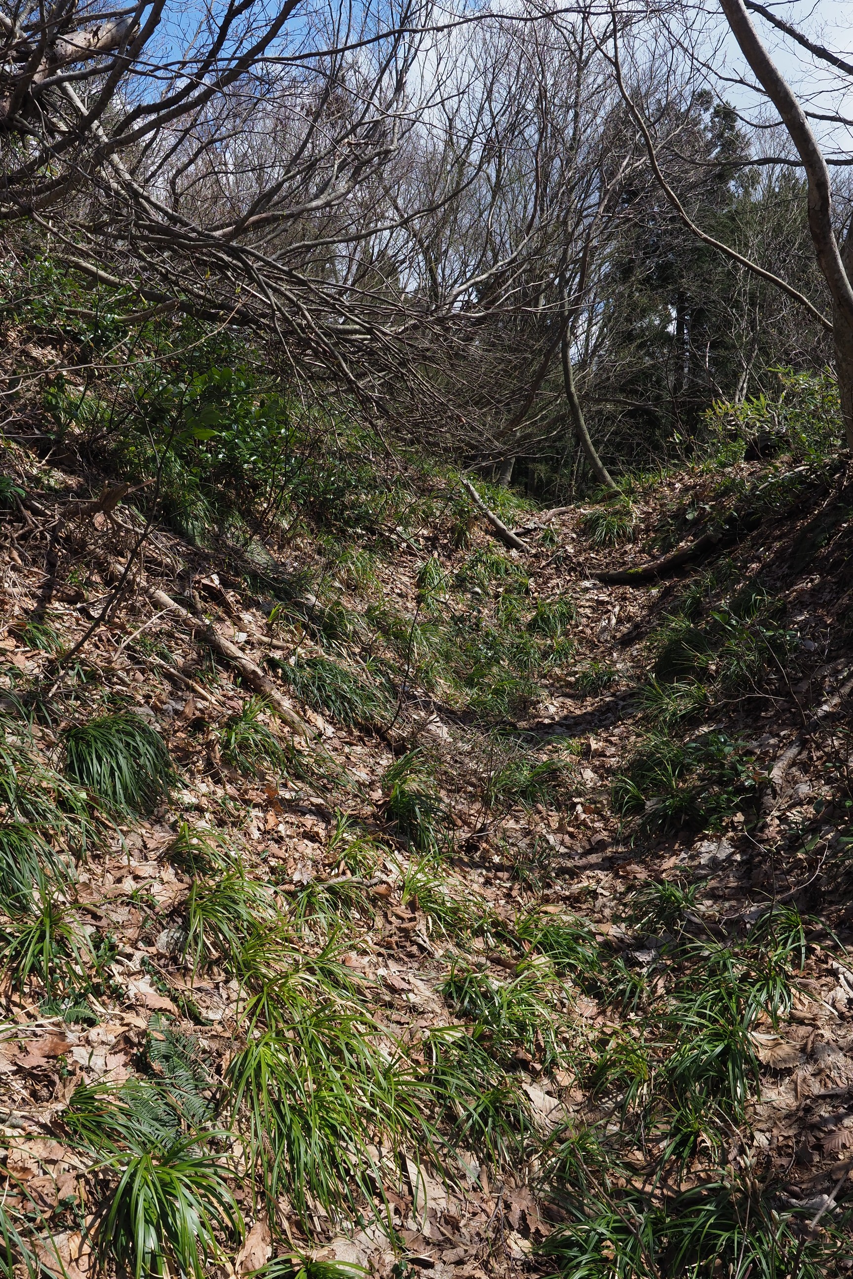 木六山・銀次郎山 空堀の跡かと