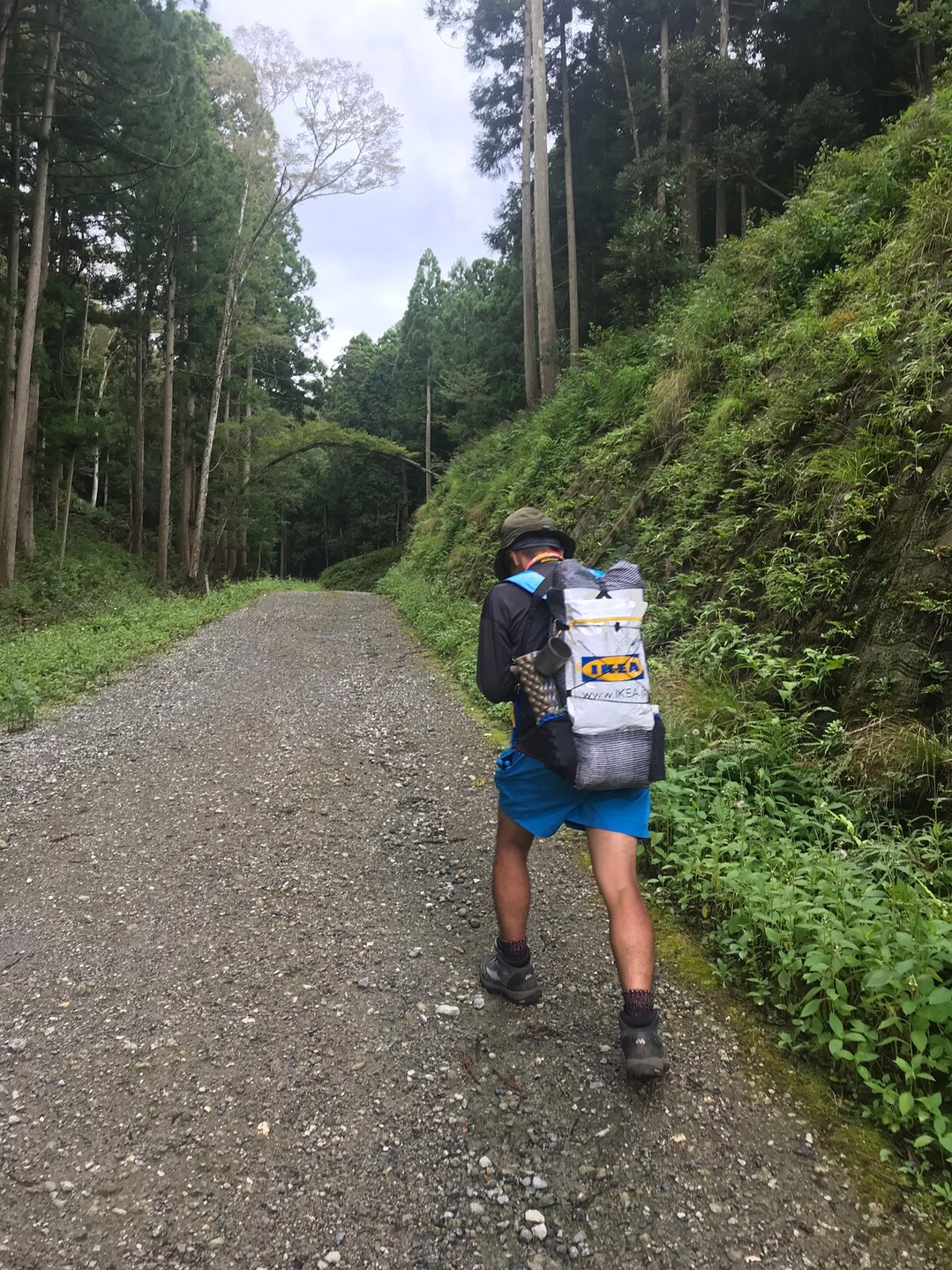 爆風必至の霊仙山 まさかのヒル クライム あっちの意味で 霊仙山の写真13枚目 ちなみに僕も長ズボン履いてたんですけど Yamap ヤマップ