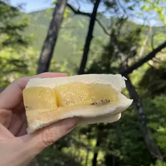 ゴールドキウイサンド🥪
クリームチーズとハチミツで。
山で食べると最高😋