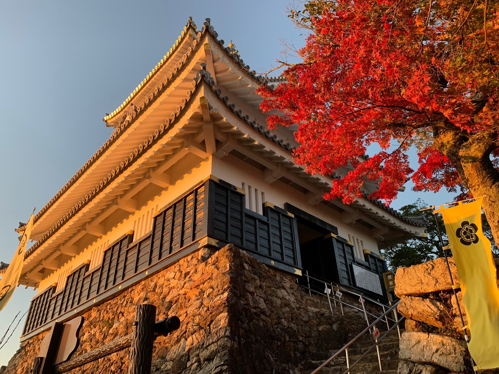 金華山 青い岐阜城 世界糖尿病デー 颯魁さんの金華山 岐阜県 洞山 舟伏山の活動日記 Yamap ヤマップ