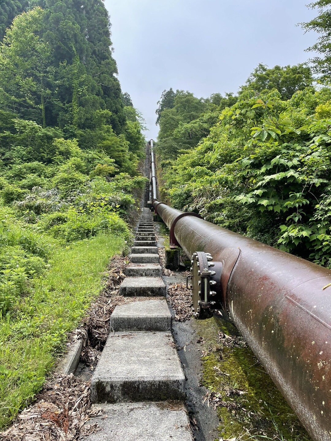 高頭山 / ぐっさん1さんの高頭山の活動データ YAMAP / ヤマップ