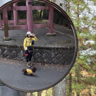 
　　　　　　落ち葉に埋もれながら
　　　　　　歩く姿が可愛くて♡

　　　　　　今年も二上山の紅葉を
　　　　　　一緒に楽しめました♪
　　　　　　
　　　　　　おしまい🐶
　　　　　