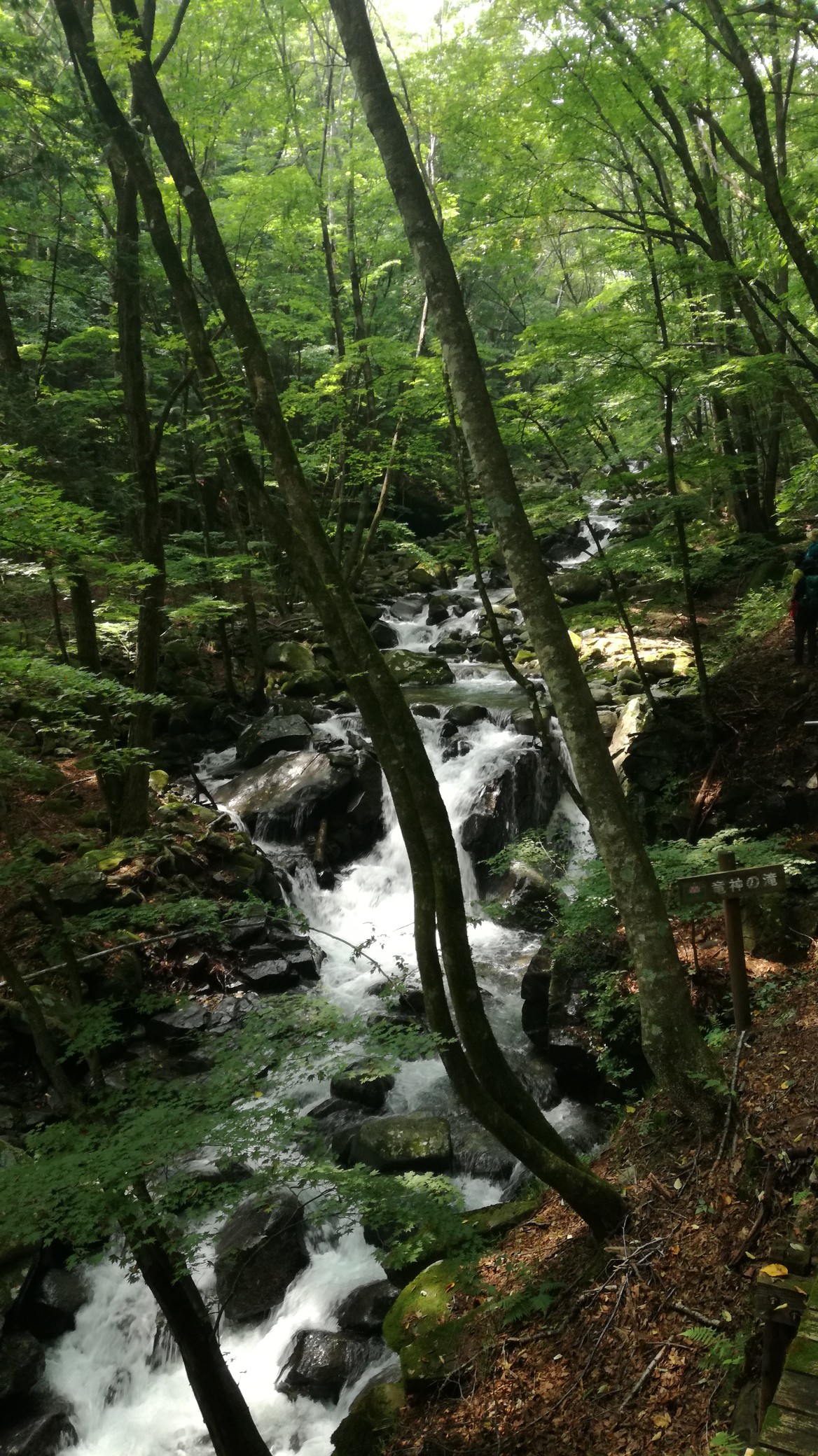 徳和渓谷 08 08 Kohさんの乾徳山 黒金山の活動データ Yamap ヤマップ