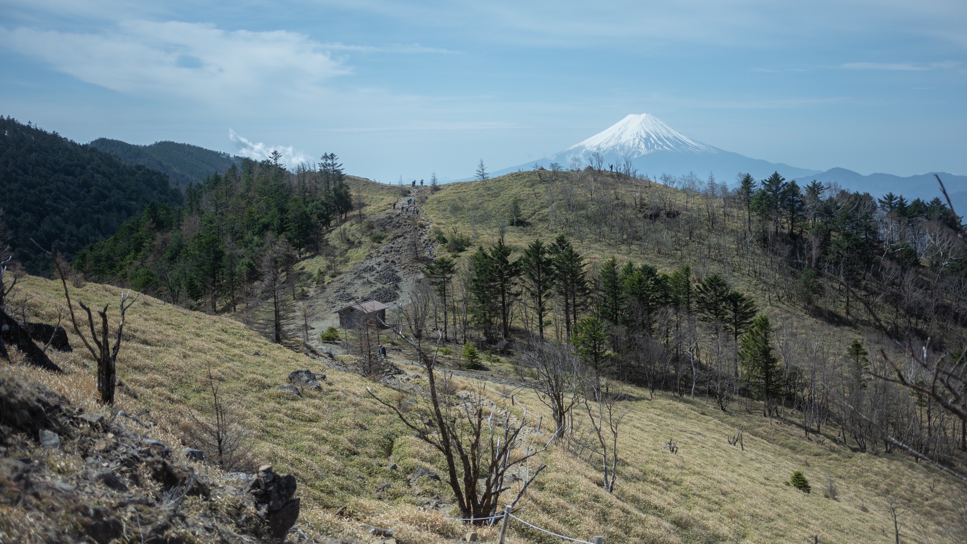 日帰り 大菩薩嶺 牛奥ノ雁ガ腹摺山 こーきさんの大菩薩嶺 鶏冠山 大マテイ山の活動日記 Yamap ヤマップ