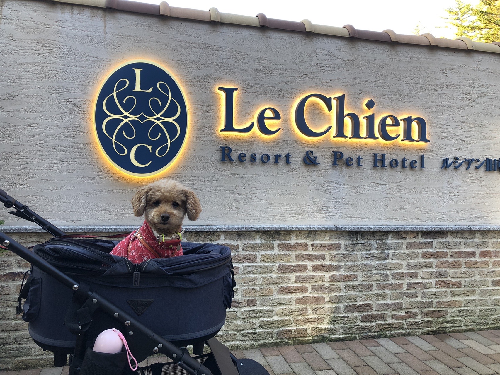 犬連れ観光 旧軽井沢 19 11 02 ヒロマツさんの中山道 軽井沢宿 沓掛宿 追分宿 小田井宿 の活動日記 Yamap ヤマップ