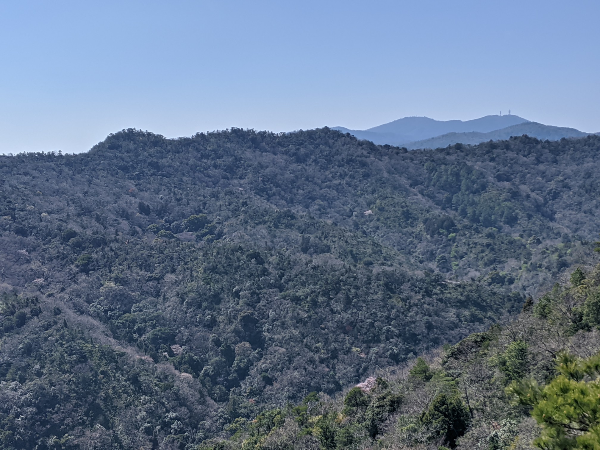 ５年ぶり 快適な高尾山に驚く 徳島県板野町 03 25 猫ぐるい山さんの高尾山 徳島県板野町 の活動データ Yamap ヤマップ