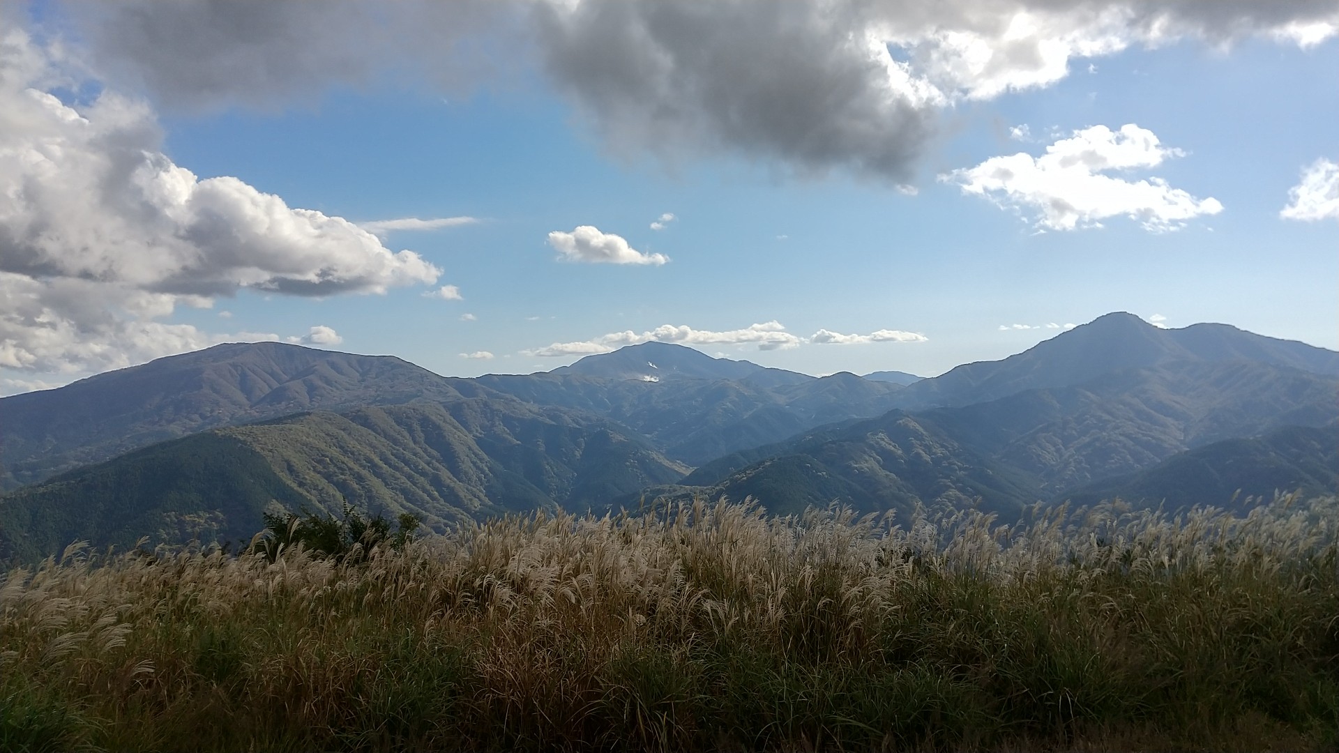 矢倉岳 21世紀の森から ババドゥルハミトさんの矢倉岳の活動データ Yamap ヤマップ