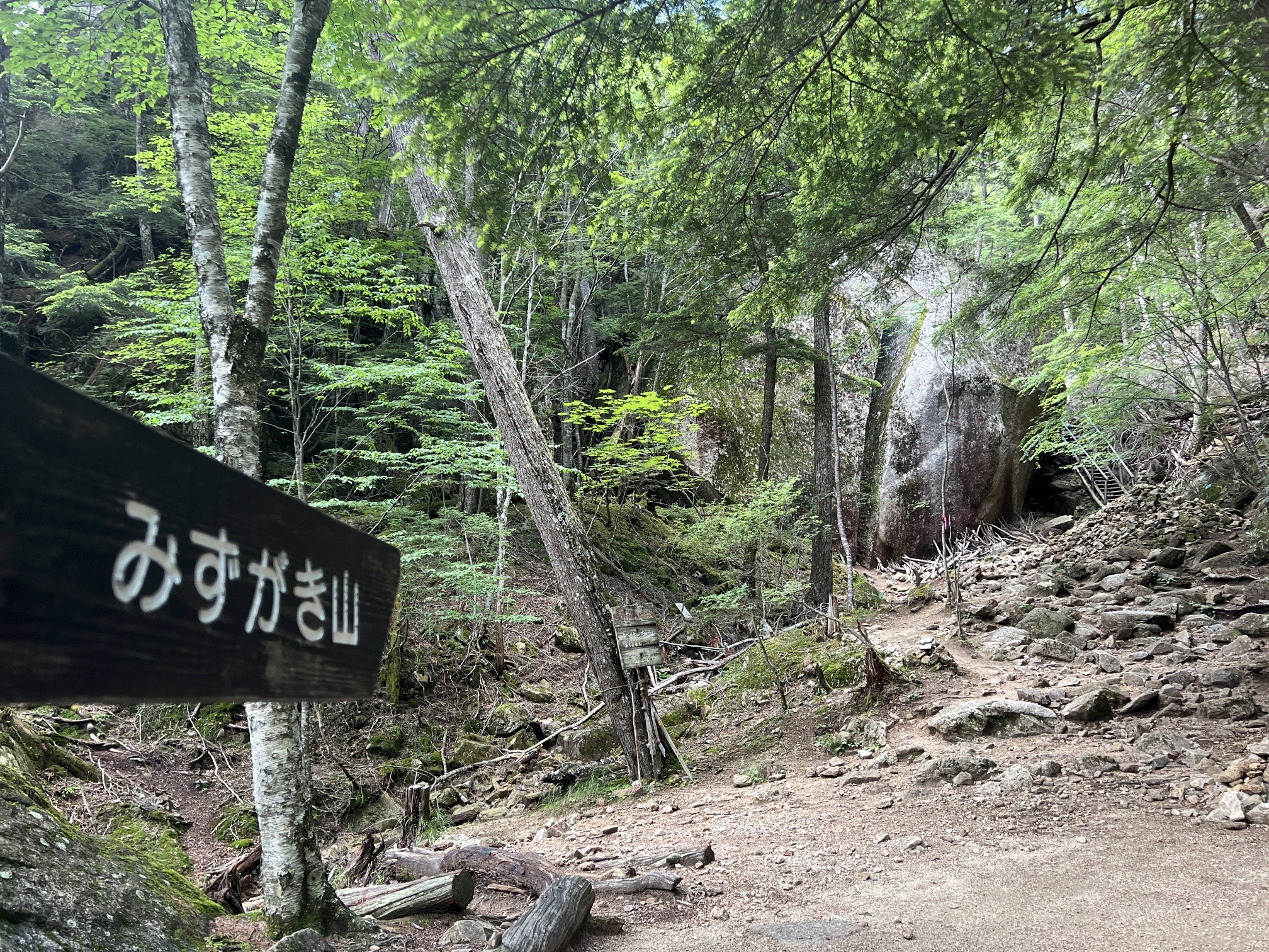 天鳥川、谷へ降りました