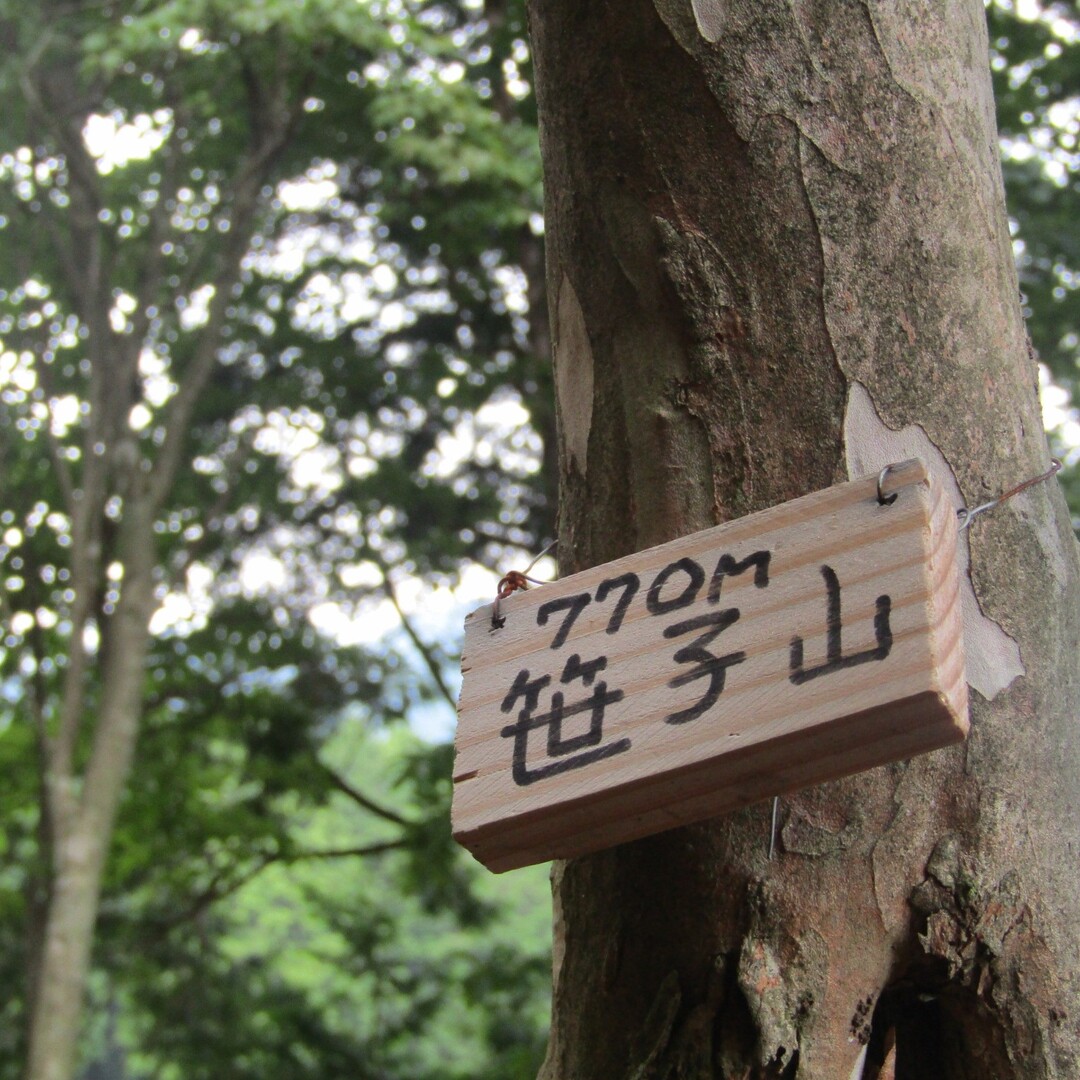 稲子山・稲子山南峰・経ヶ峰北峰・経ヶ峰・笹子山 / 経ヶ峰の写真35枚目 / 笹子山に寄り📸 本日下山 16:30 | YAMAP / ヤマップ