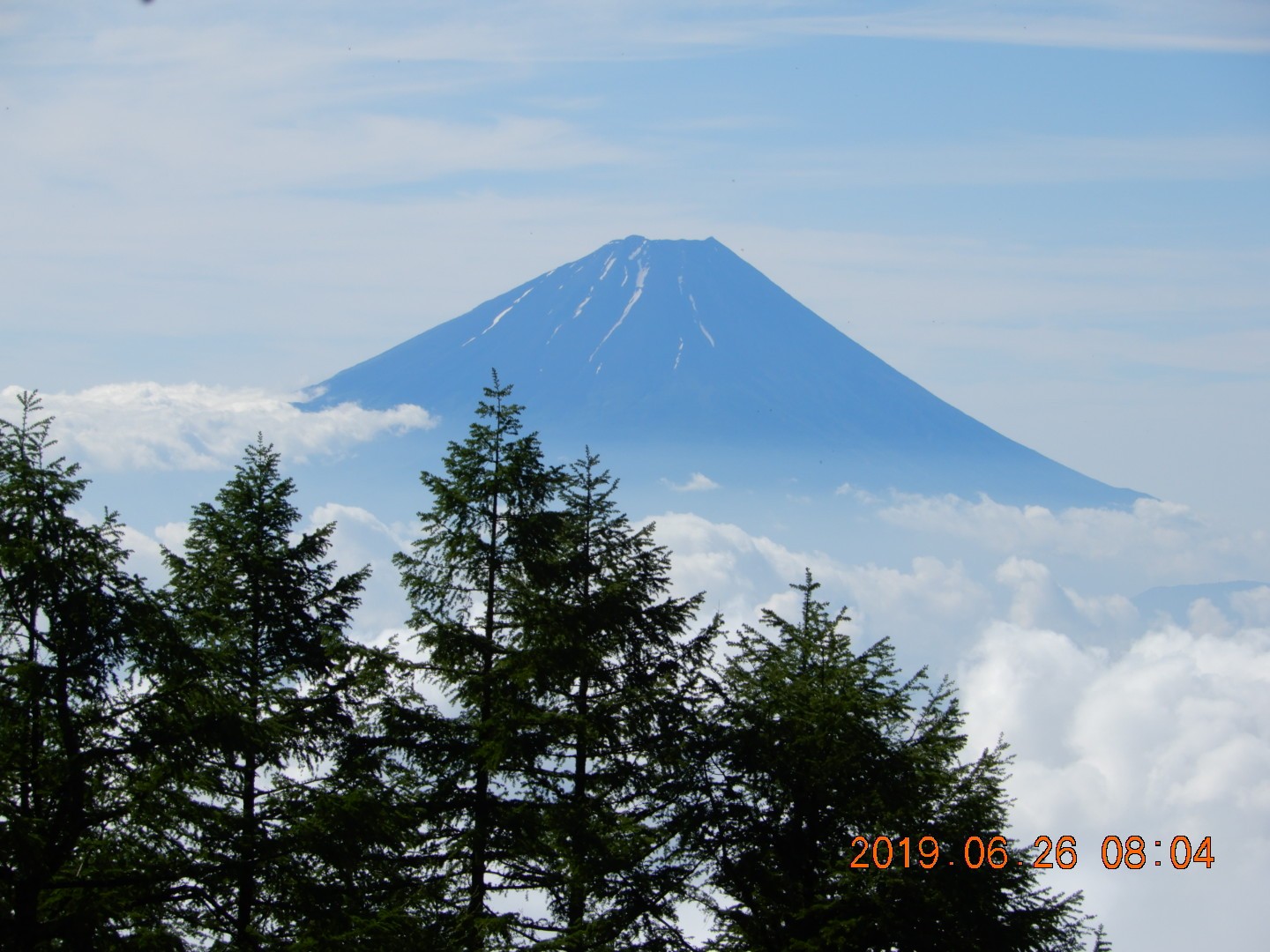 まだ 間に合ったツツジの山 甘利山から千頭星山 Momotiさんの鳳凰山 地蔵岳 観音岳 薬師岳の活動日記 Yamap ヤマップ