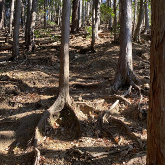 大平山からの急降下