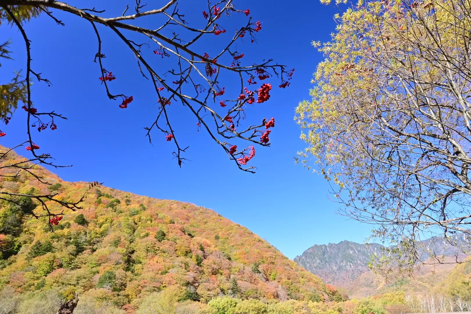 西沢渓谷 美しい紅葉の写真を撮りたくて 19 11 08 ふくちゃんさんの甲武信ヶ岳の活動日記 Yamap ヤマップ