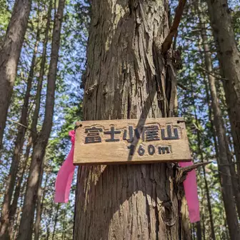 脇道の藪を上がった先に富士小屋山山頂の木札を発見！