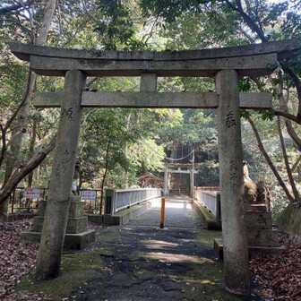槇尾山（槙尾山）・和泉葛城山・神於山 いい散歩ができました。